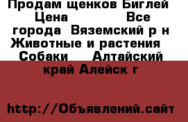 Продам щенков Биглей › Цена ­ 15 000 - Все города, Вяземский р-н Животные и растения » Собаки   . Алтайский край,Алейск г.